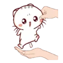 Wen, the small meow Mov 8