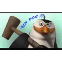 Pingüinos 24