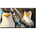 Pingüinos 21