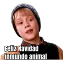 HOME ALONE 22