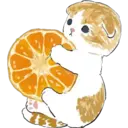 Gatitos Food Kawaii 14