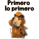Mascotas maravilla 6