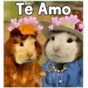 Mascotas maravilla 15
