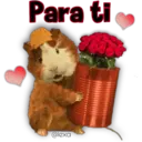 Mascotas maravilla 14