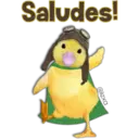 Mascotas maravilla 9