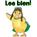 Mascotas maravilla 13