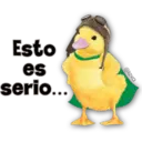 Mascotas maravilla 5