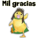 Mascotas maravilla 12