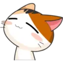Meow For Mishell ^ⲱ^ 4. 23