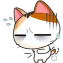 Meow For Mishell ^ⲱ^ 4. 30