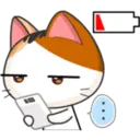 Meow For Mishell ^ⲱ^ 4. 22