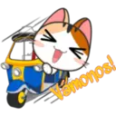 Meow For Mishell ^ⲱ^ 4. 12