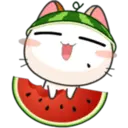 Meow For Mishell ^ⲱ^ 4. 19