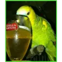 Locuras 5