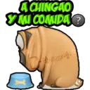 ACHINGAO
MI COMIDA?
GRISE!
GRISE
