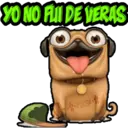 YO NO FUI DE VERAS