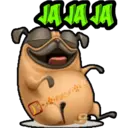 JA JA JA
GRISE