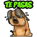 TE PASAS
GRISE