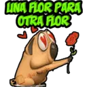 LINA FLOR PARA
OTRA FLOR
*GRIS**