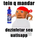 Laranjo 5 28