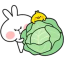 Spoiled Rabbit 4