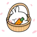 Spoiled Rabbit 6