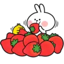 Spoiled Rabbit 30