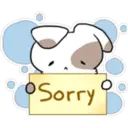 Sorry