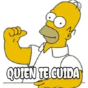 homero 24