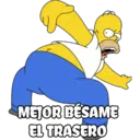 homero 11
