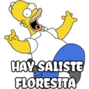 homero 14