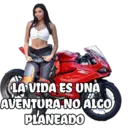 LA VIDA ES UNA AVENTURA NO ALCO PLANEADO
