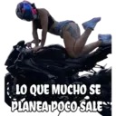 LO QUE MUCHO SE PLANEA POGO SALE