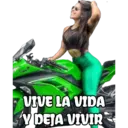 VIVE LA VIDA V DEJA VIVIR
