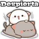 Despierta
>
3
>