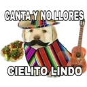 CANTA Y NO LLORES
CIELITO LINDO