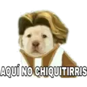 AQUÍ NO CHIQUITIRRIS