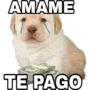 AMAME
TE PAGO