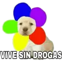 VIVE SIN DROGAS