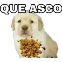 QUE ASCO