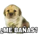 ¿ME BAÑAS?
ΜΕ