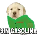 SIN GASOLINA