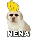 NENA