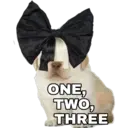 ONE,
TWO,
THREE