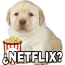 ¿NETFLIX?