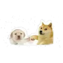 G