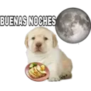BUENAS NOCHES