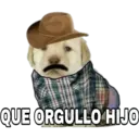 QUE ORGULLO HIJO