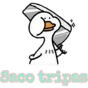 ase p