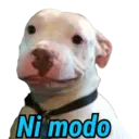Ni modo